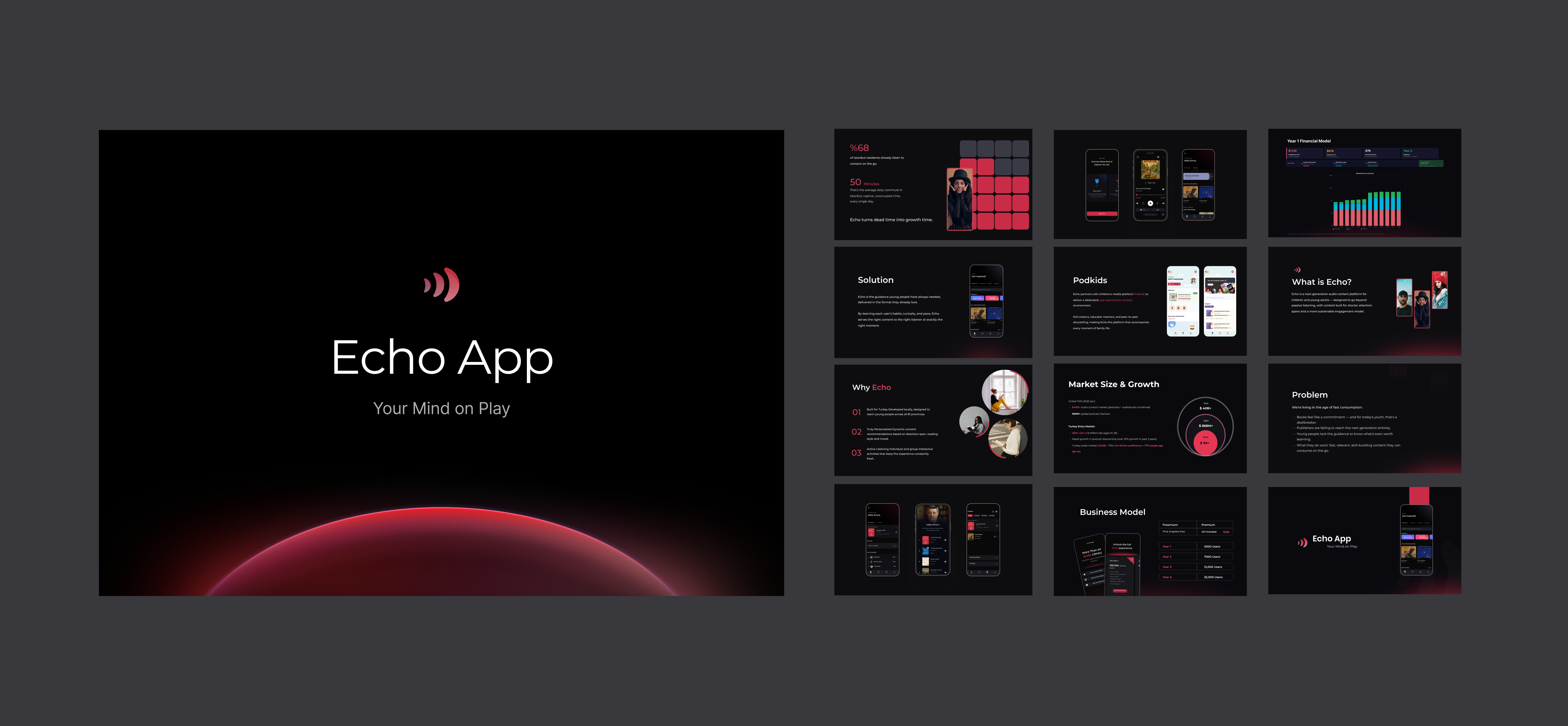 Investor Readiness Support